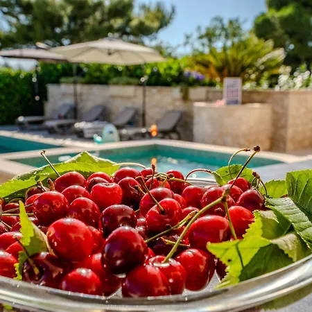 My Dalmatia - Authentic Dumina With Private Heated Pool And Sauna 펜션 *
